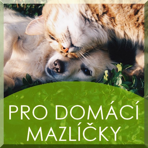 dd kategorie 2022 pro domaci mazlicky green